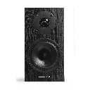 A1-2 head on black oak_03_03_2026.webp