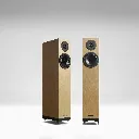 A2.2 Oak_03_03_2026.webp