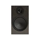 silver 100 03.webp