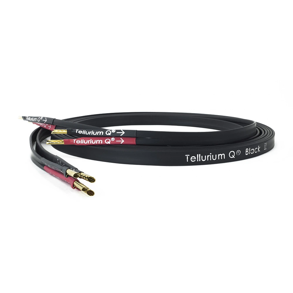 Tellurium Q Black II speaker
